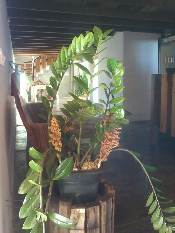 Pouso D' Braga Hotel ปิเรนนอโปลิส ภายนอก รูปภาพ