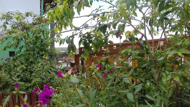 Pouso D' Braga Hotel ปิเรนนอโปลิส ภายนอก รูปภาพ
